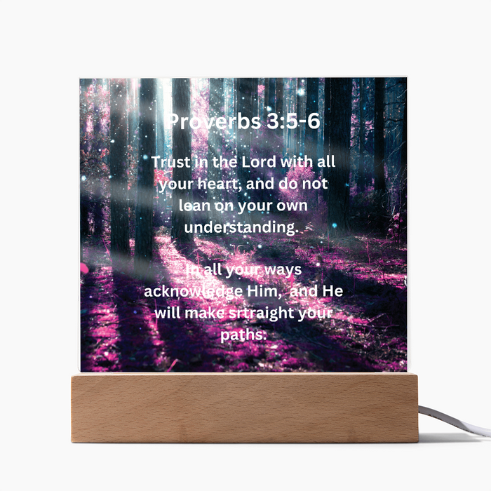 Proverbs 3:5-6 Acrylic Square Plaque