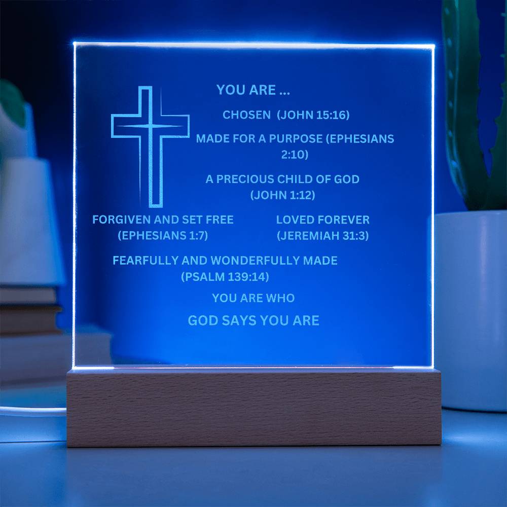 YOU ARE DESCRIBED  As Engraved Acrylic Square Plaque