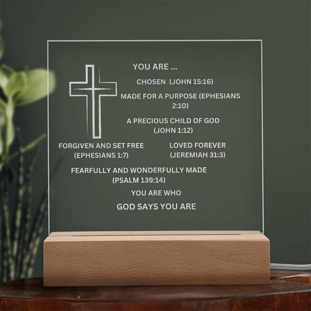 YOU ARE DESCRIBED  As Engraved Acrylic Square Plaque