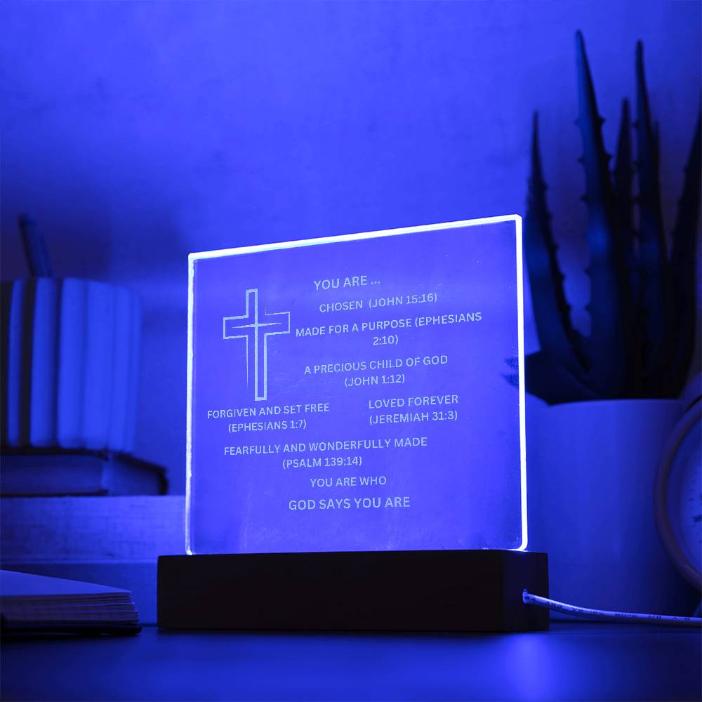 YOU ARE DESCRIBED  As Engraved Acrylic Square Plaque