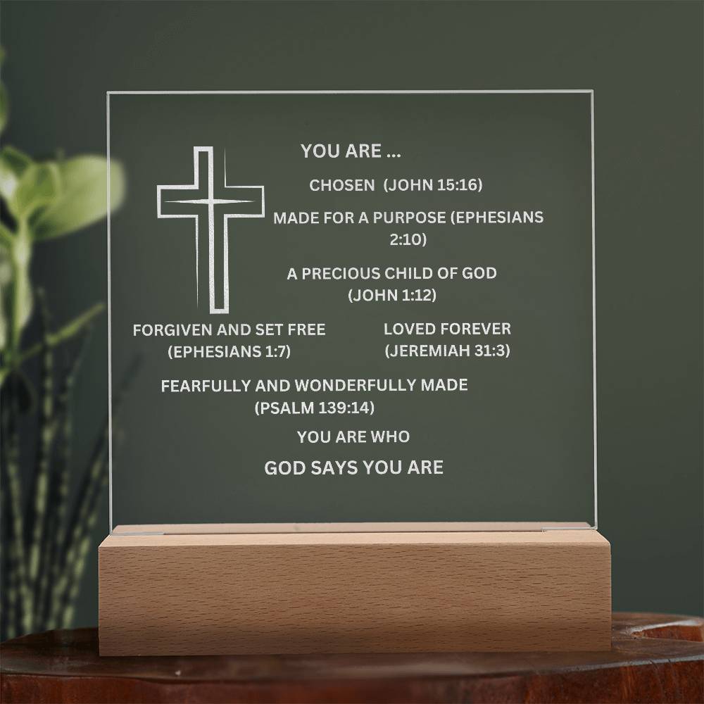 YOU ARE DESCRIBED  As Engraved Acrylic Square Plaque