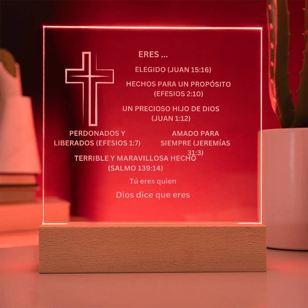 Spanish YOU ARE DESCRIBED BY GOD Engraved Acrylic Square Plaque