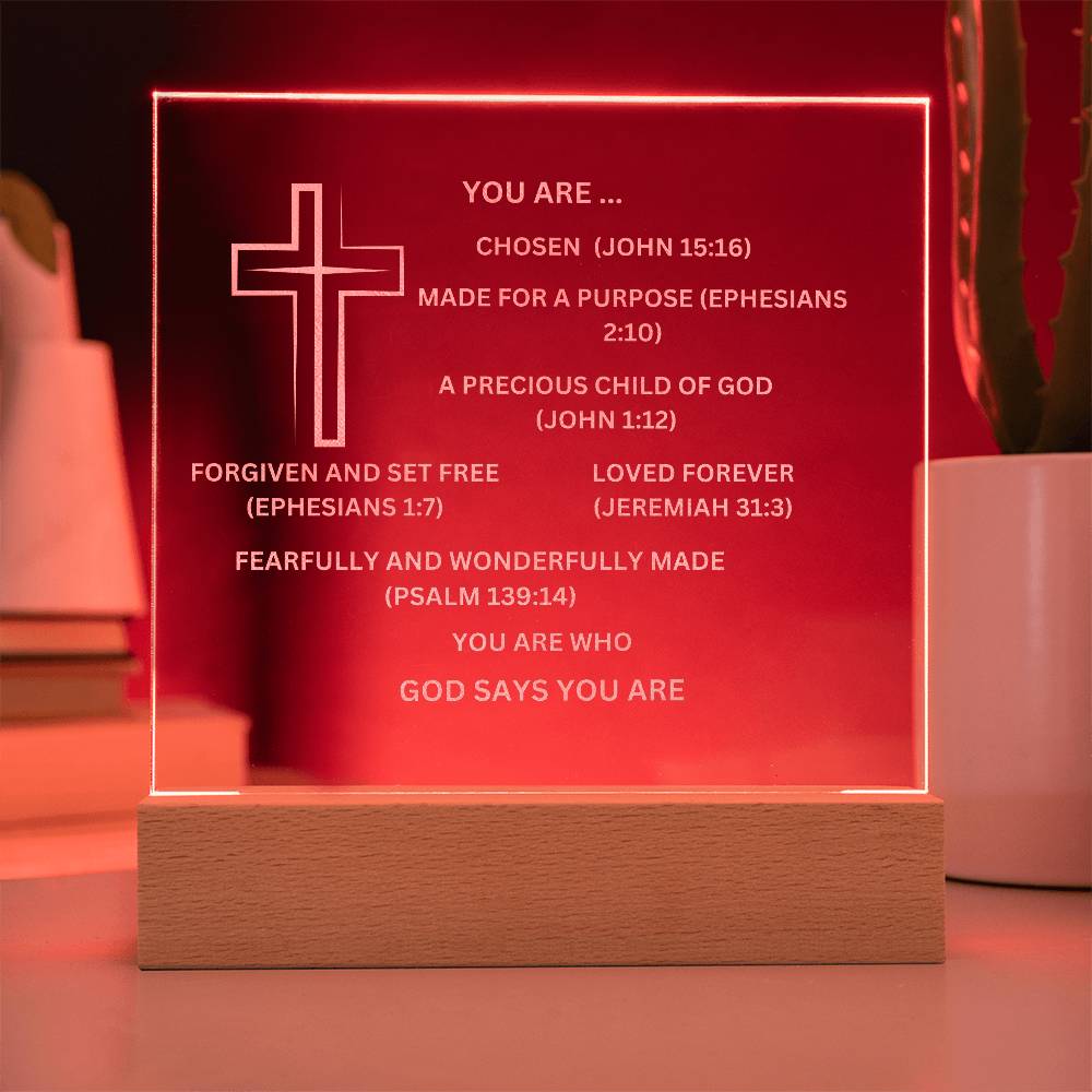 YOU ARE DESCRIBED  As Engraved Acrylic Square Plaque