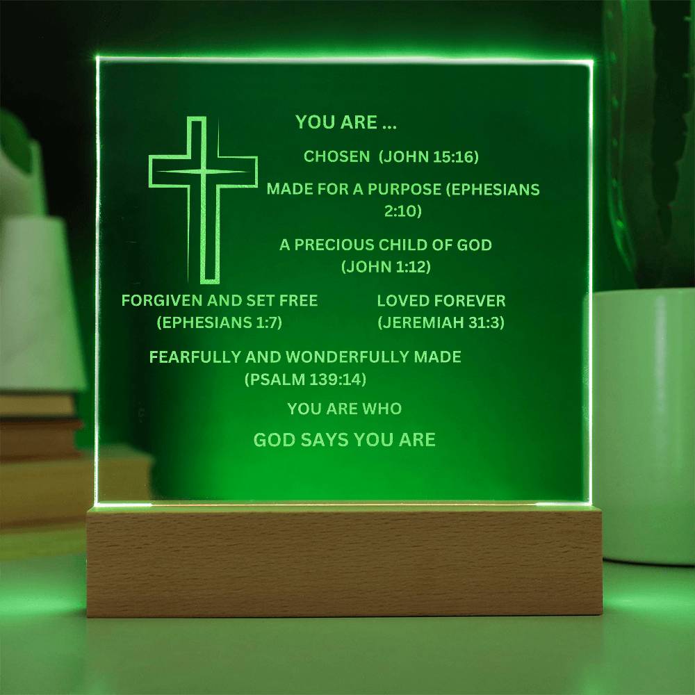 YOU ARE DESCRIBED  As Engraved Acrylic Square Plaque