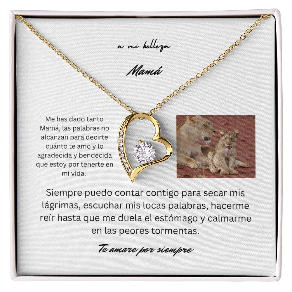 Spanish To My Beautiful Mom